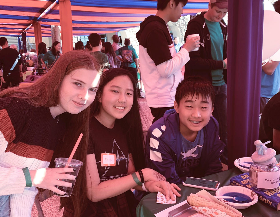 Multicultural Fair 2019